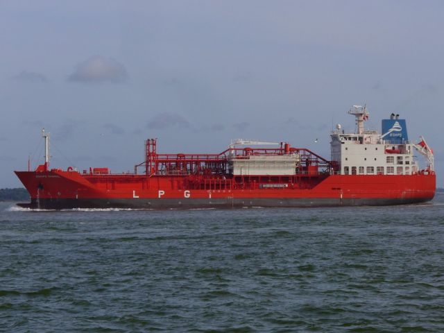 Eships Shamal - estuaire - 10 septembre 2010 (02).JPG
